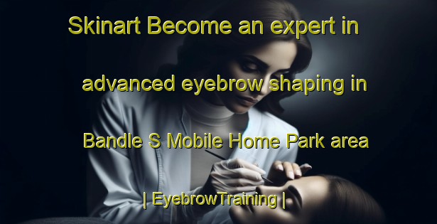 Skinart Become an expert in advanced eyebrow shaping in Bandle S Mobile Home Park area | EyebrowTraining | EyebrowClasses | SkinartTraining-United States